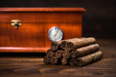 How Aging Affects Cigars: The Science Behind Flavor Evolution