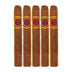 Gurkha Castle Hall Nicaraguan Toro 5 Pack