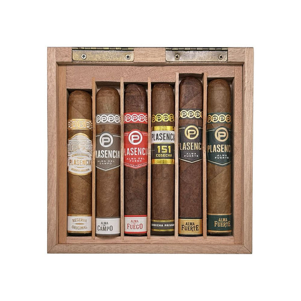 Plasencia Robusto Holiday Collection Open Box Top View