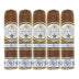 Rocky Patel Dark Star Short Star Gordito 5 Pack