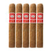 Romeo y Julieta 1875 Bully Robusto 5 Pack