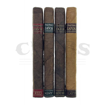 Rocky Patel Java Toro Sampler of 4